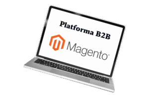 Magento B2B