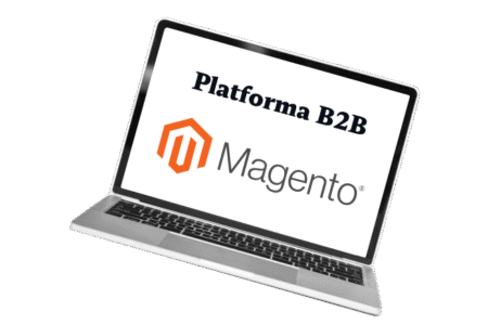 why-are-magento-b2b-platforms-so-popular