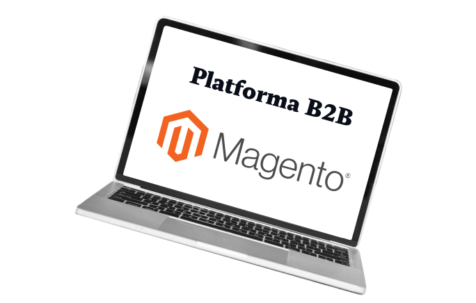 Why are Magento B2B platforms so popular?
