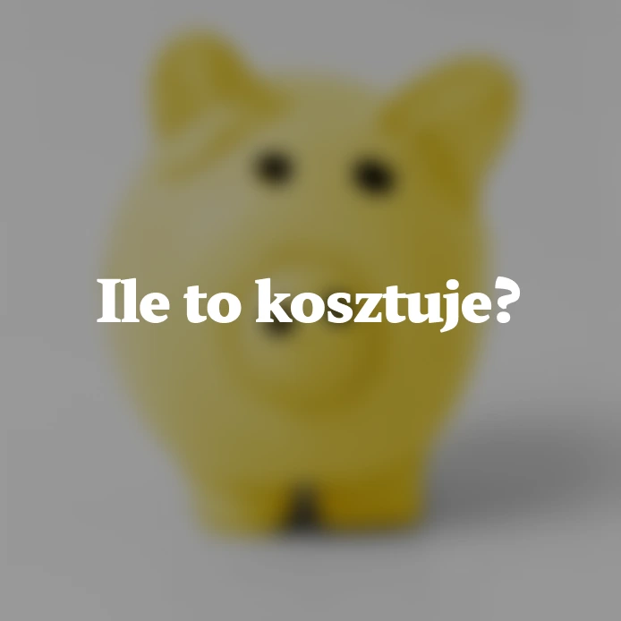 Wdrożenia Magento - koszt