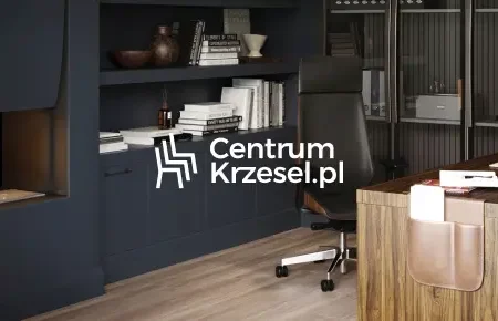 Centrum Krzeseł