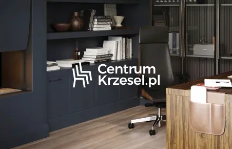 Case study - Centrum Krzeseł