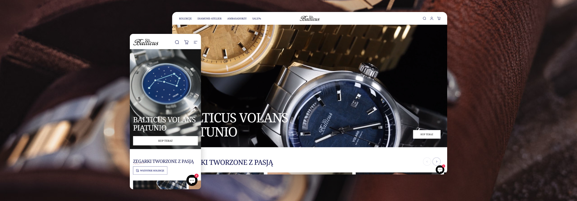 Portoflio - Balticus desktop