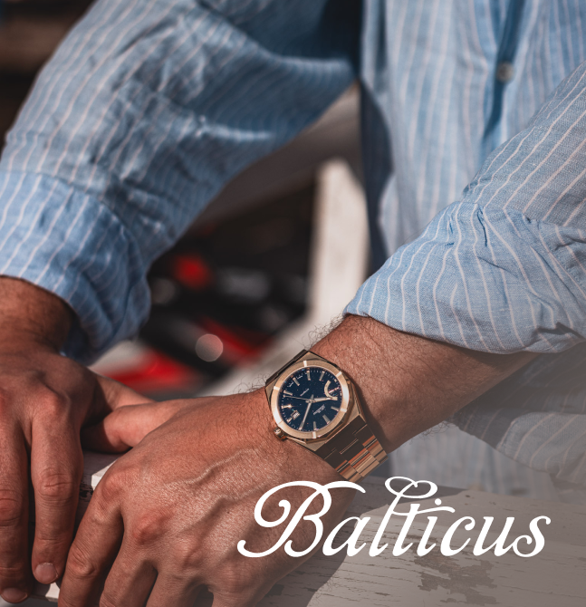 Portoflio - Balticus mobile